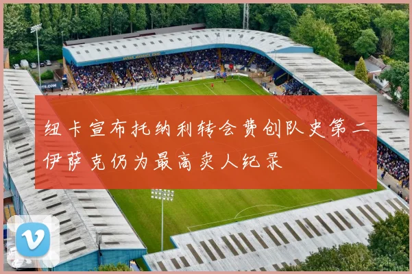 纽卡宣布托纳利转会费创队史第二伊萨克仍为最高卖人纪录